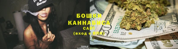 прущие грибы Абаза