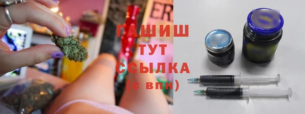 прущие грибы Абаза