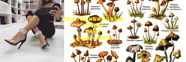 mix Абинск