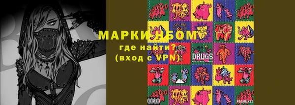 прущие грибы Абаза
