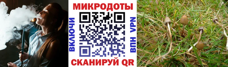 Псилоцибиновые грибы ЛСД Камень-на-Оби