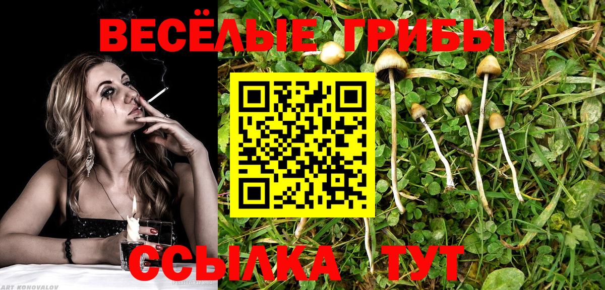 Галлюциногенные грибы MAGIC MUSHROOMS Камень-на-Оби