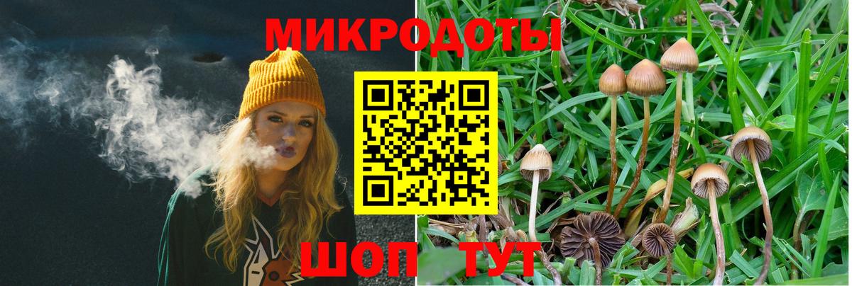 Галлюциногенные грибы мухоморы  Вход с VPN  Камень-на-Оби  Псилоцибиновые грибы Magic Shrooms 