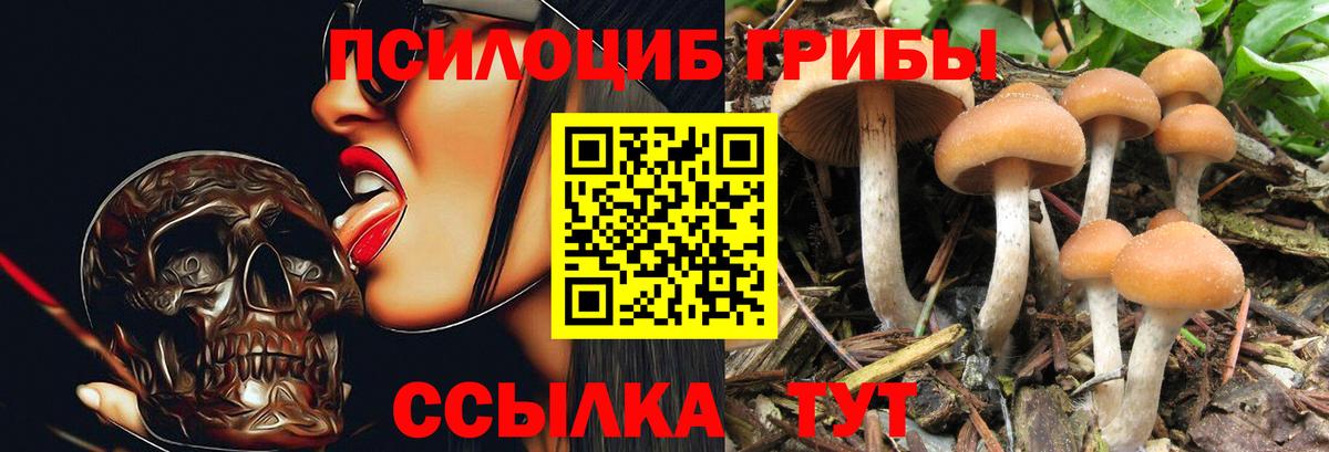 МДМА  Каннабис  Мефедрон кристаллы  Кокаин  А ПВП СК кристаллы  Камень-на-Оби  Гашиш  Вход с VPN 